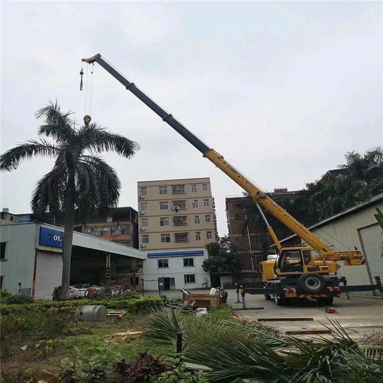 丰城汽车吊出租多少钱？全面解析与市场行情